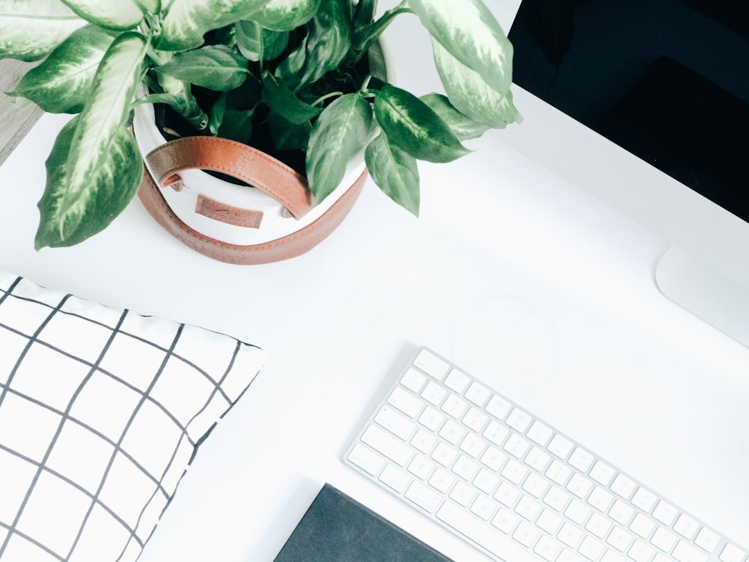 Bright modern office desk with a laptop and plant